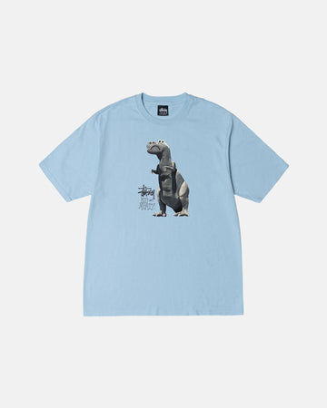 T-SHIRT TINTA CON PIGMENTO GRANDE E CARNOSA